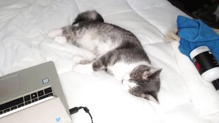 beautifulmessrose - [1080 HD Video] Cum Privat zapisi Domi