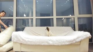 britanny_b - [1080 HD Video] Lush Naughty Masturbate