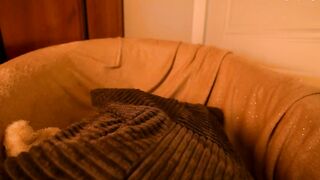 tollysage - Chaturbate Live groupshow tattoo hidden show newgirl