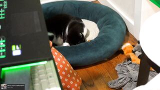 livanddrew - [1080 HD Video] Pvt Hidden Show Naked