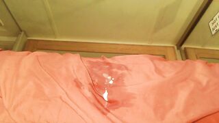 stonykat - [1080 HD Video] High Qulity Video Playful Nice