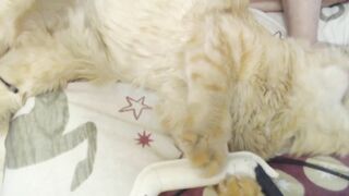 mila12000 - [1080 HD Video] Privat zapisi Chaturbate Hidden Show