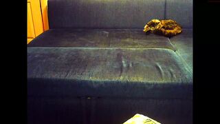 sexy_teamcarrey - [1080 HD Video] Sex Toys Ass Pretty Cam Model