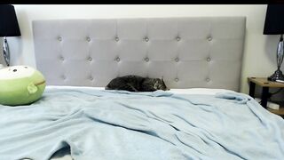 purelycarnal - [1080 HD Video] Privat zapisi Adult Stream Record