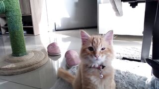 entice_you - [1080 HD Video] Shaved Masturbation Hard Pvt