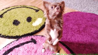 bubblekush7 - [1080 HD Video] Adult Recording Ticket Cum Video