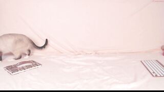 amazing_agness - [1080 HD Video] Ticket Cum Video Horny Sexy Girl