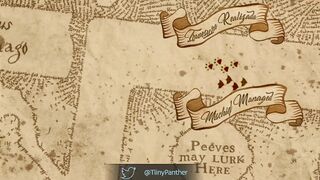 tiny_panther - [1080 HD Video] Live Show Cam Clip Only Fun Club Video