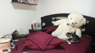 michell_fun23 - [1080 HD Video] Erotic Cam Video Beautiful