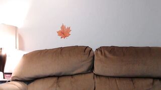 daniiangel - [1080 HD Video] High Qulity Video Sex Toys Chat