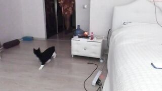 letsrock__ - [1080 HD Video] High Qulity Video Recording Beautiful