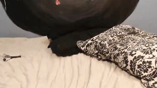 pizzaburgers - [1080 HD Video] Webcam New Video Porn Web Chat