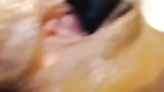 sexy_rosana - [1080 HD Video] Pretty Cam Model Beautiful Porn Web Chat