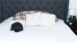 blacklotusxo - [1080 HD Video] Ticket Cum Video Privat zapisi Hard Pvt