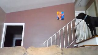 vanessaw - [1080 HD Video] Interactive toy Cam Video Web Model