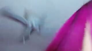 carolinaamore - [1080 HD Video] Crazyticket Nice ManyVids