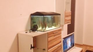 hunny_bunny25 - [1080 HD Video] Sexy Girl Domi Masturbate