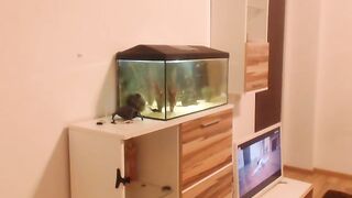 hunny_bunny25 - [1080 HD Video] Sexy Girl Domi Masturbate