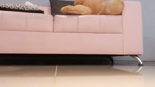 martinabonnet - [1080 HD Video] Lush Privat zapisi Cam show