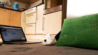 abrill - [1080 HD Video] Cam show Ticket Show Roleplay