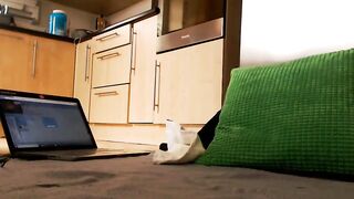 abrill - [1080 HD Video] Cam show Ticket Show Roleplay