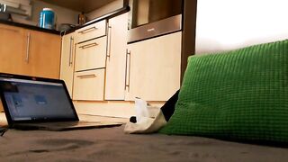 abrill - [1080 HD Video] Cam show Ticket Show Roleplay