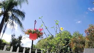 skye_evans_ - [1080 HD Video] Cam Video Domi Pretty Cam Model