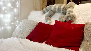 tia__ - [1080 HD Video] Amateur Multi Goal Show Masturbate