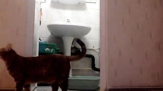 fell4m - [1080 HD Video] Free Porn Cam Clip Spy Video