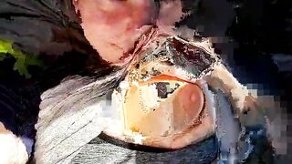 hollydae - [1080 HD Video] Ass New Clip Webcam Model