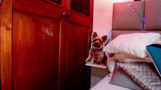 mollyguns - [1080 HD Video] Free Watch Nude Girl Onlyfans