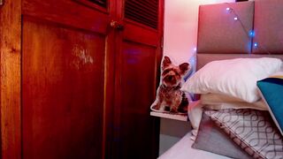 mollyguns - [1080 HD Video] Free Watch Nude Girl Onlyfans