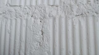 dyafirst - [Video] blonde cei ticket show hair pussy