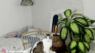 grettabenett_ - [Chaturbate Record] fucking-sex Mesmerizing hips whore Luscious rear