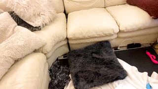 harpentertainment - [Chaturbate Record] african ride Beautiful assets cavala