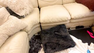 harpentertainment - [Chaturbate Record] african ride Beautiful assets cavala