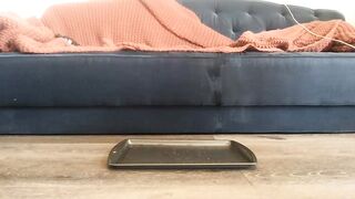 wettt93 - [Chaturbate Record] hot-sluts perfect-ass best-blowjobs-ever smallcock