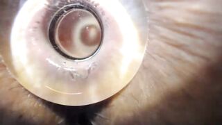 christinamingle - [Chaturbate Record] Nice Boobs Enviable allure Graceful muse free