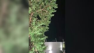 Dime-__ - [Stripchat Latest Leaks] ebony-dildo-or-vibrator ebony-deepthroat brunettes-petite brunettes